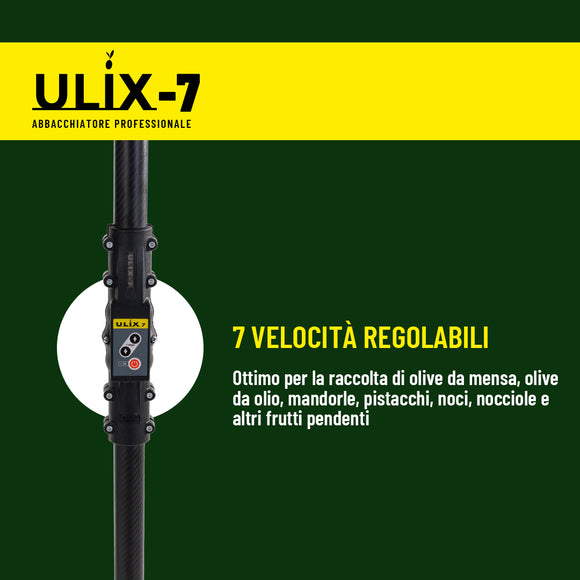 ABBACCHIATORE ELETTRICO ULIX7 24V CON BATTERIA A ZAINO