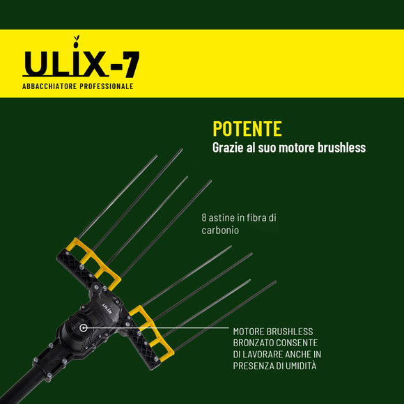 ABBACCHIATORE ELETTRICO ULIX7 24V CON BATTERIA A ZAINO