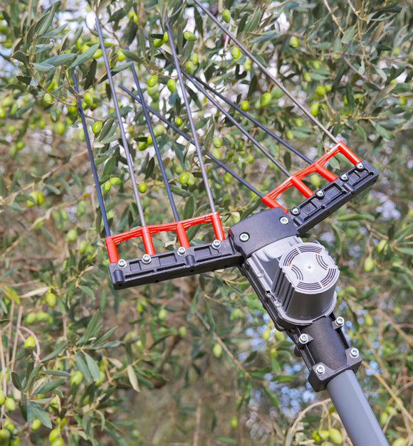 ABBACCHIATORE ULIX 5